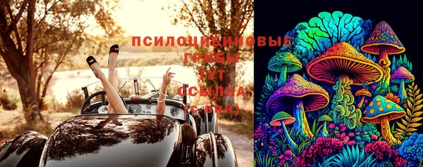 прущие крисы Алексин